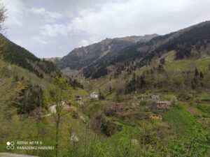camimahalesi