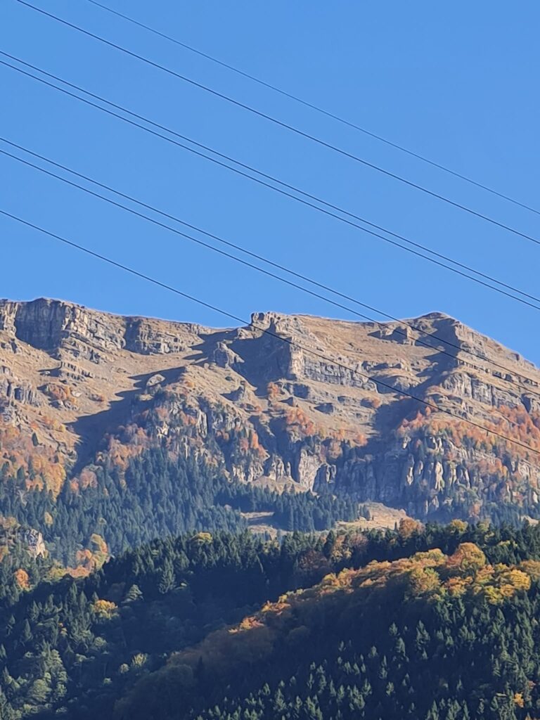 920794_n